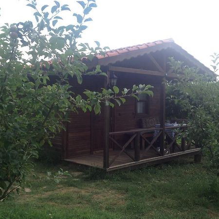 Salkim Konak Ve Agac Evler Selçuk Room photo