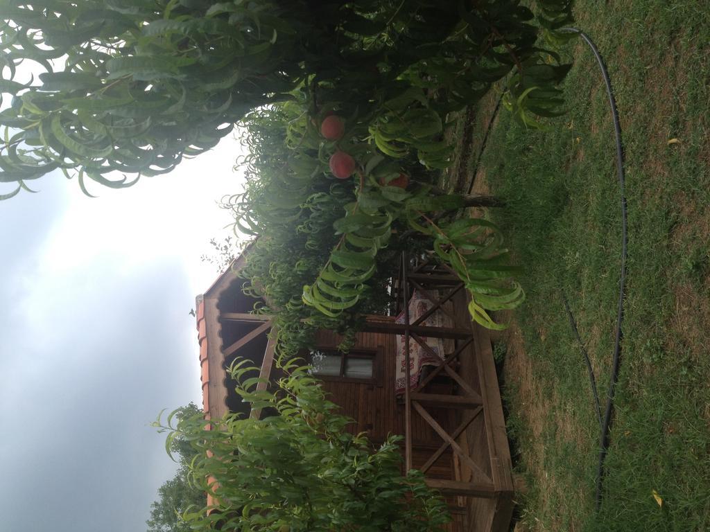 Salkim Konak Ve Agac Evler Selçuk Room photo