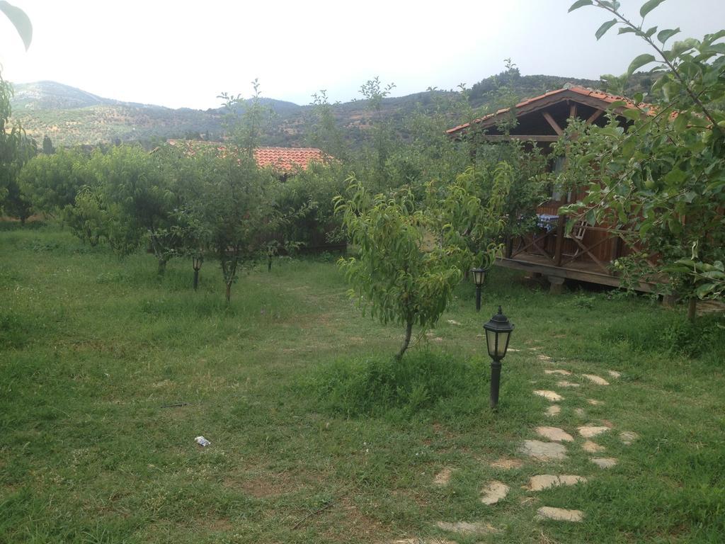 Salkim Konak Ve Agac Evler Selçuk Room photo