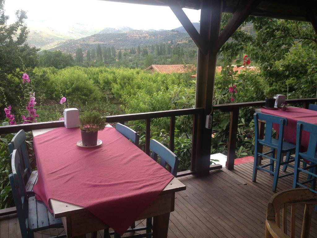 Salkim Konak Ve Agac Evler Selçuk Exterior photo