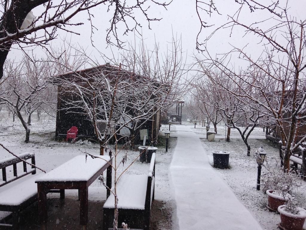 Salkim Konak Ve Agac Evler Selçuk Exterior photo