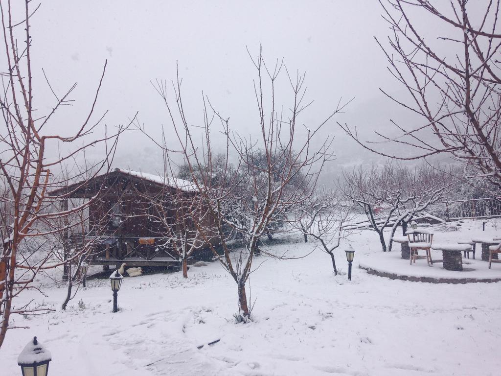 Salkim Konak Ve Agac Evler Selçuk Exterior photo