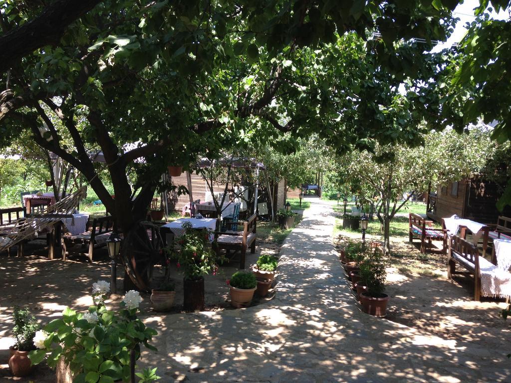 Salkim Konak Ve Agac Evler Selçuk Exterior photo