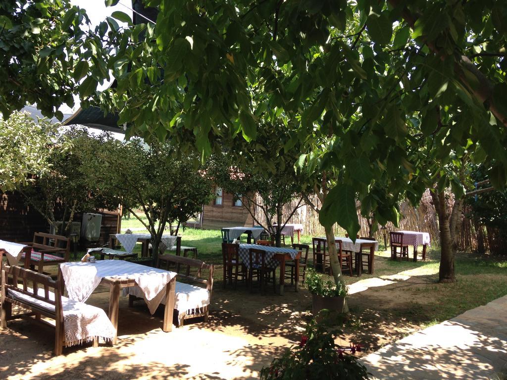 Salkim Konak Ve Agac Evler Selçuk Exterior photo