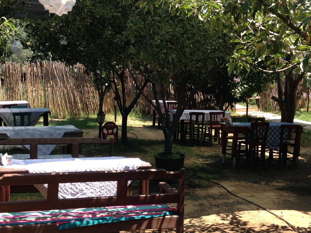 Salkim Konak Ve Agac Evler Selçuk Exterior photo